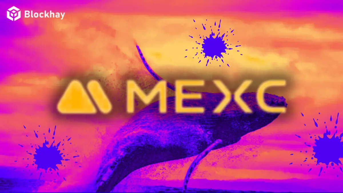 Top-nhung-be-boi-ve-san-mexc