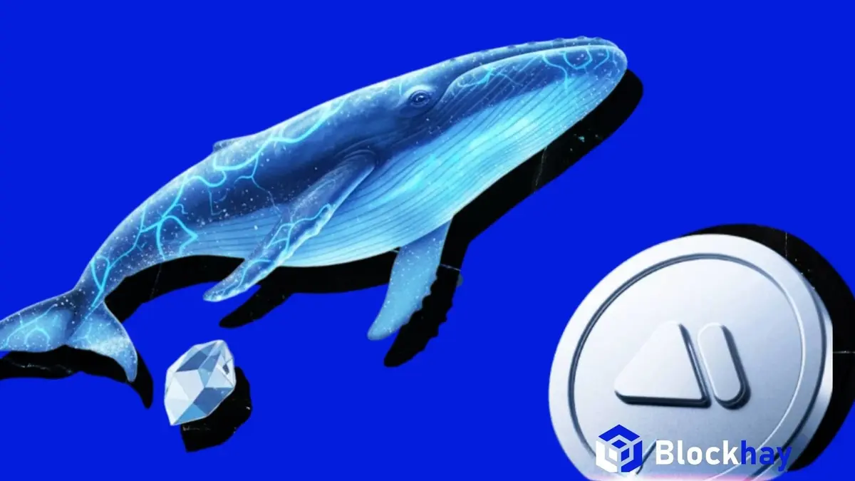 Cái giá của sự tin tưởng: Câu chuyện 3 triệu đô la của "Cá voi trắng" trên MEXC