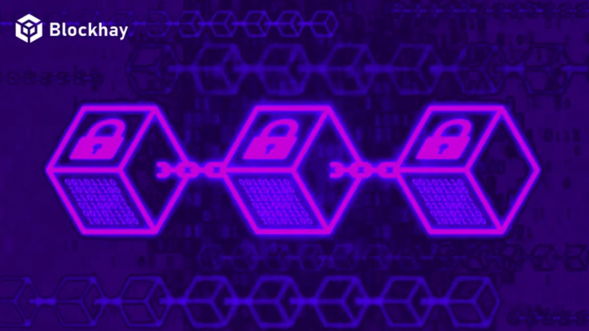 Top-5-du-an-privacy-tiem-nang-trong-tuong-lai