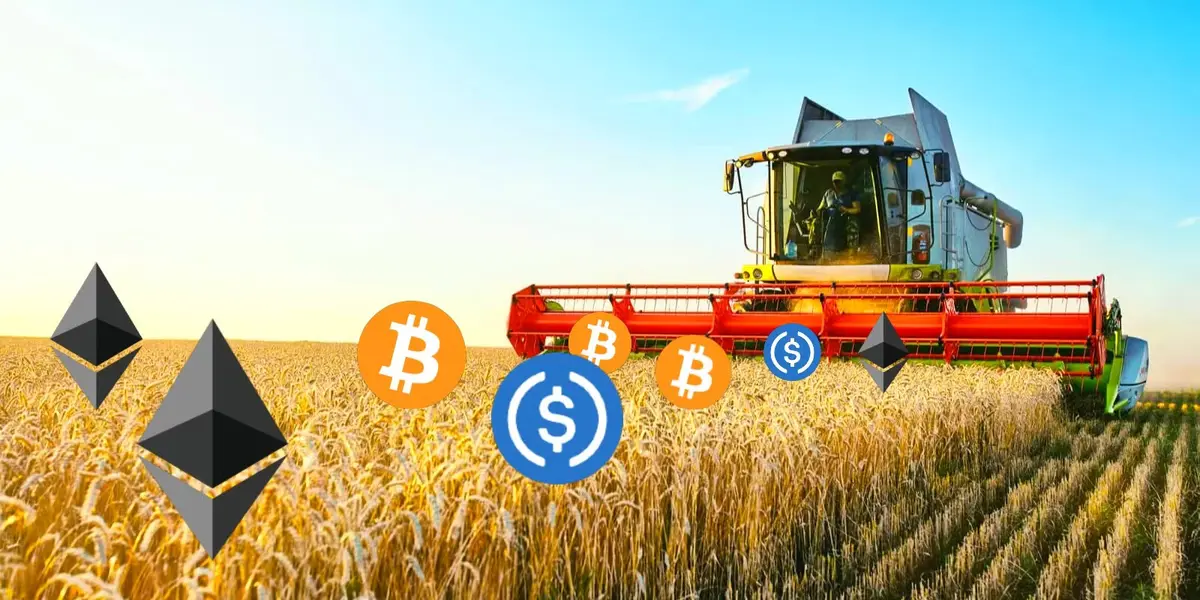 Farming-lai-suat-bang-stablecoin-tren-nen-tang-web3