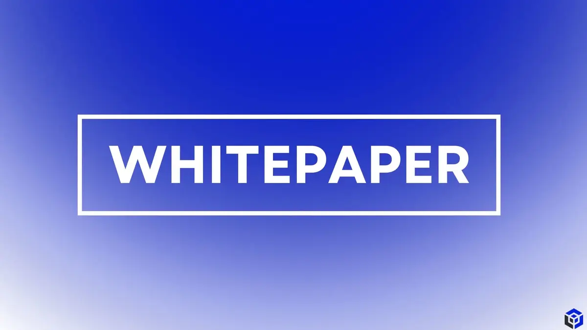 Whitepaper là gì? Công cụ đánh giá tiềm năng dài hạn dự án crypto