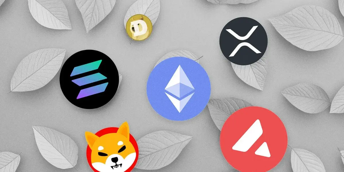 Altcoin-và-tử-địa-của-nhà-đầu-tư