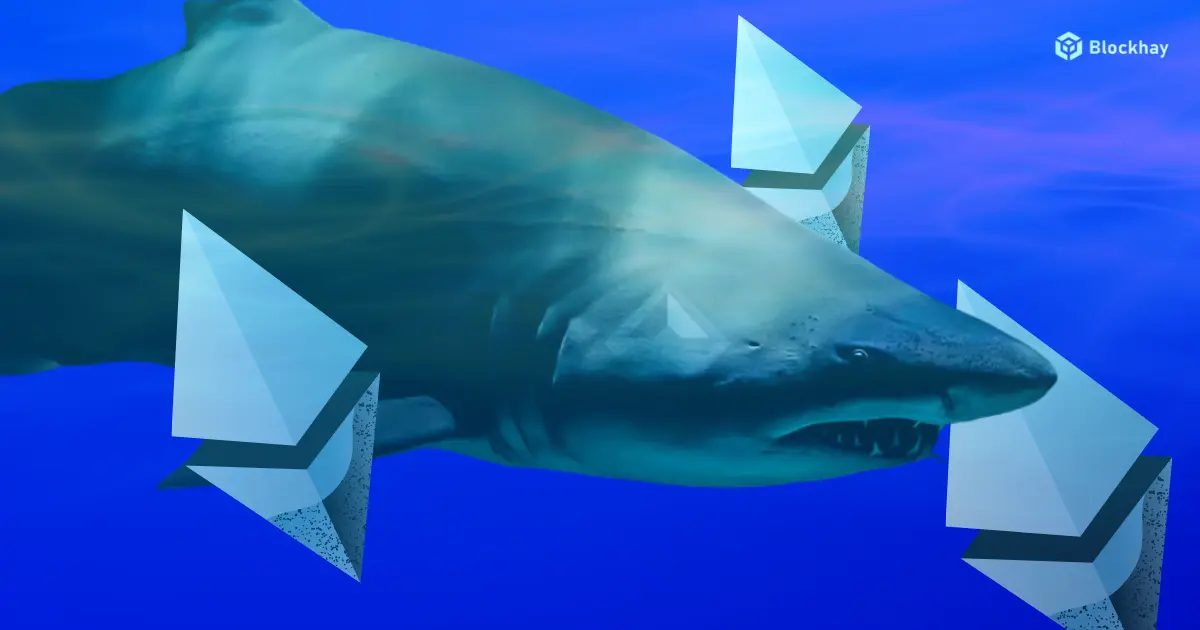 lenh-giao-dich-va-bieu-do-lo-nhuan-cua-nha-dau-tu-crypto-blockhay