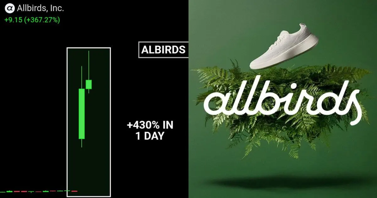 Công ty giày sắp phá sản - Allbirds - đạt mức tăng trưởng cổ phiếu hơn 430% chỉ sau một đêm nhờ vào xu hướng AI
