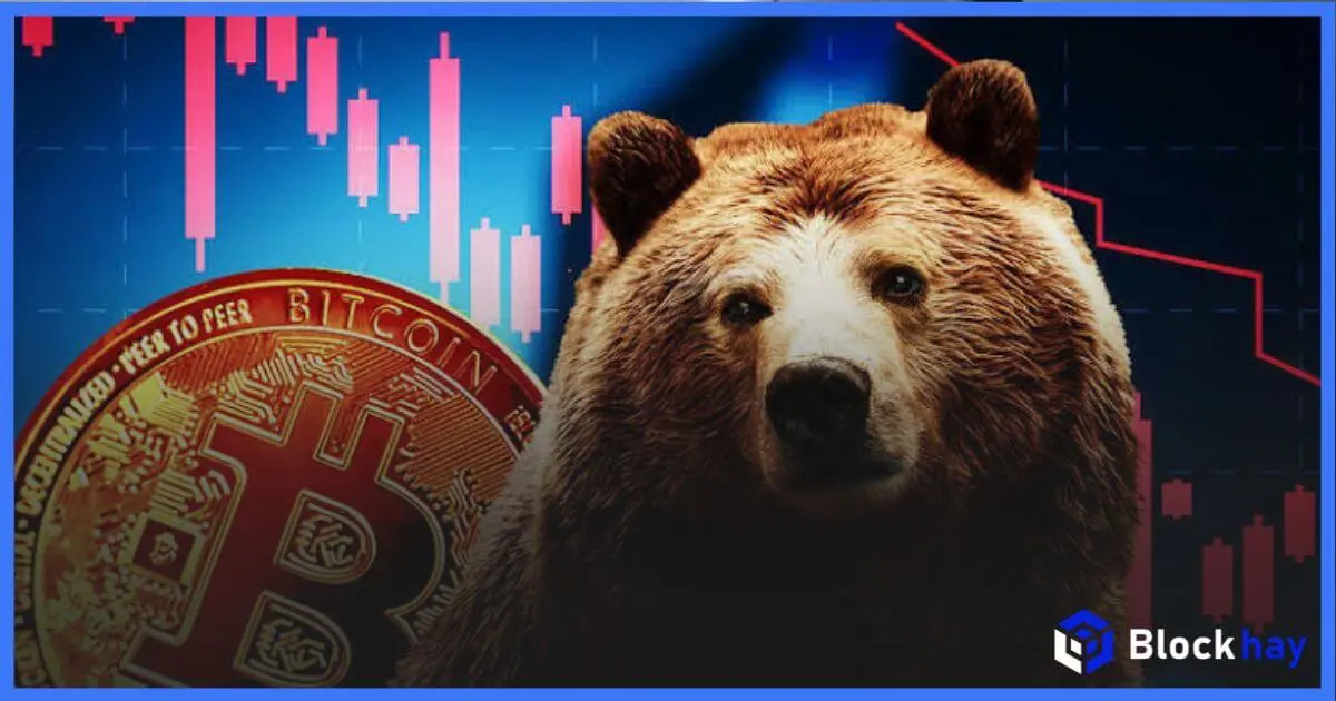 Bitwise: "Đáy của Bitcoin đang ngày càng được củng cố, bất chấp cơn sốt AI và những trì hoãn về khung pháp lý."
