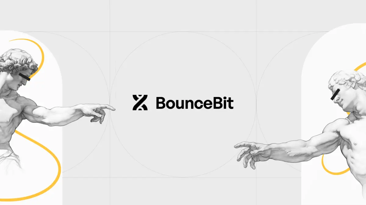 Bounce-Bit-và-lỗ-hổng-dự-án