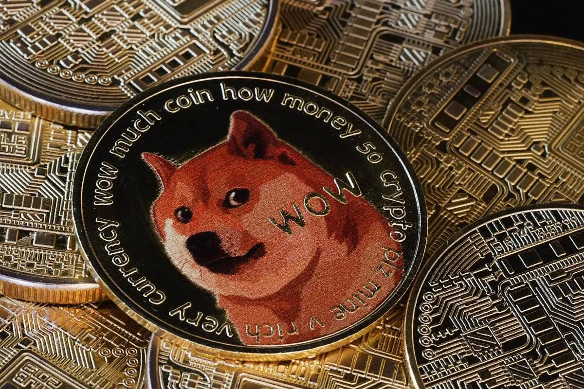 Memecoin-bị-hạn-chế-bởi-Visa